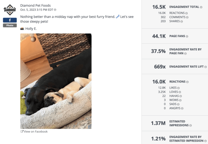 Diamond Pet Foods post from October 5, 2023, featuring a photo of two dogs napping together. Engagement statistics: 16.5K engagement total, 37.5% engagement rate by page fan, 669x engagement rate lift, 1.37M estimated impressions.